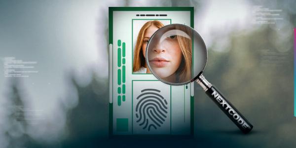 Como empresas podem se proteger contra fraudes digitais